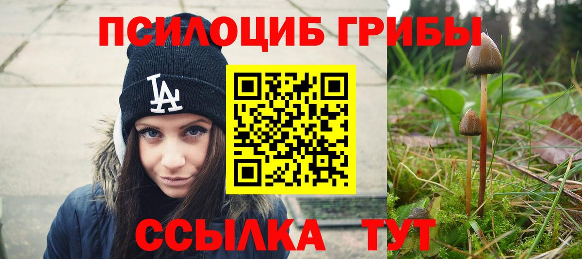 Благодарный  Псилоцибиновые грибы мухоморы  Галлюциногенные грибы Cubensis  Вход с VPN 